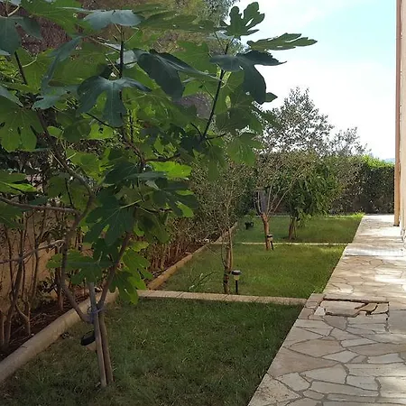 Marica Amazing View זאדאר